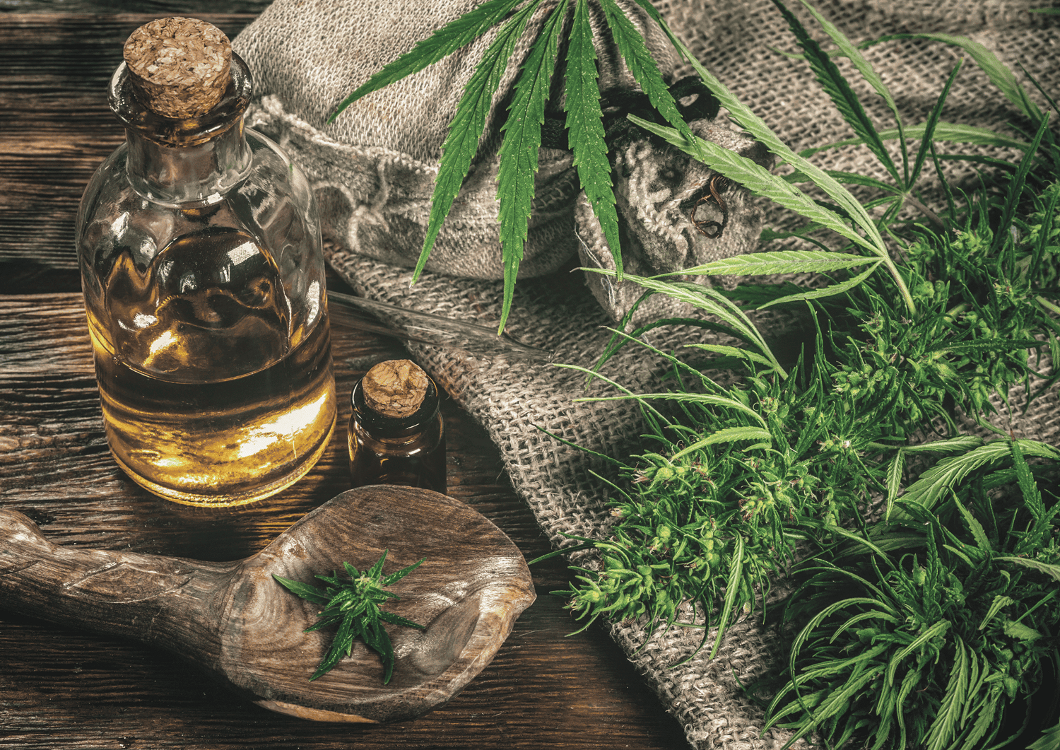 Bild mit CBD-Öl, einem Holzlöffel, Cannabisblätter und -blüten und einem Jutesack